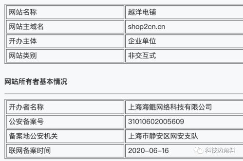 洋碼頭戰略注資越洋電鋪，持股20%加碼跨境網絡技術咨詢