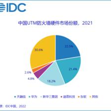 2021中國網(wǎng)絡(luò)安全硬件市場解析 防火墻領(lǐng)域天融信領(lǐng)跑，行業(yè)迎來新機(jī)遇與挑戰(zhàn)